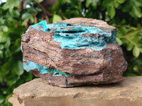 Natural Drusy Coated Chrysocolla with Malachite x 1 From Lupoto Mine, Congo