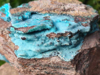 Natural Drusy Coated Chrysocolla with Malachite x 1 From Lupoto Mine, Congo