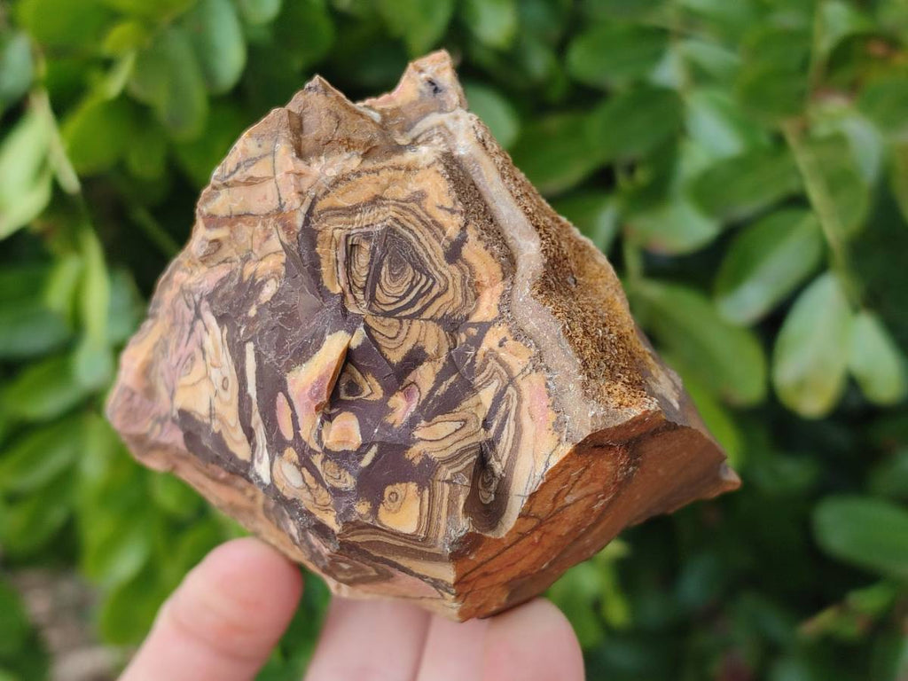 Natural Nguni Jasper Cobbed Specimens x 28 From Prieska, South Africa - Toprock Gemstones and Minerals 