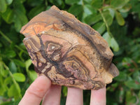 Natural Nguni Jasper Cobbed Specimens x 28 From Prieska, South Africa