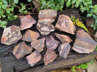 Natural Nguni Jasper Cobbed Specimens x 28 From Prieska, South Africa
