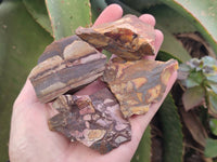 Natural Nguni Jasper Cobbed Specimens x 28 From Prieska, South Africa