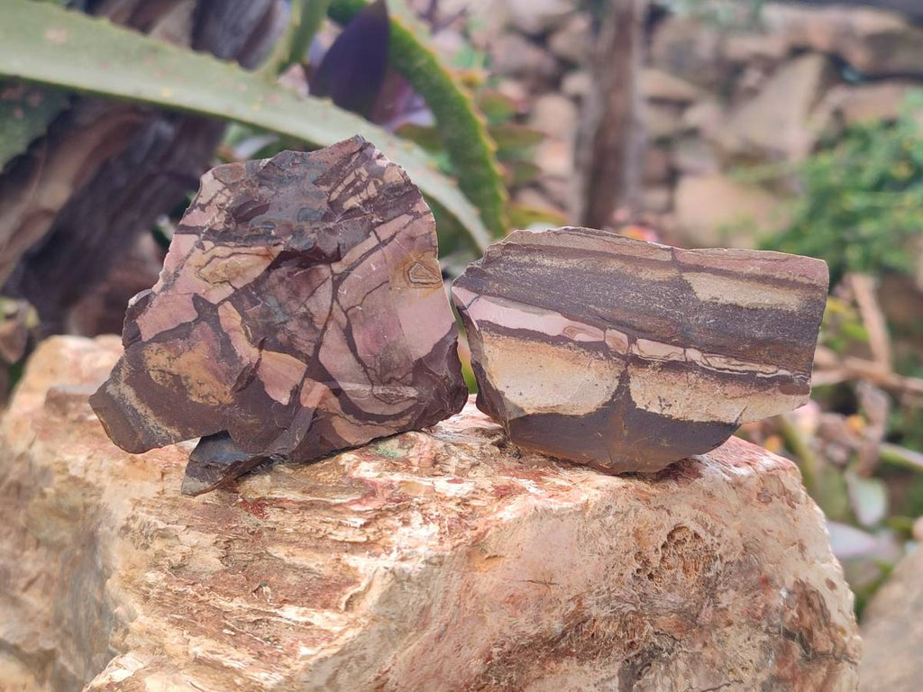 Natural Nguni Jasper Cobbed Specimens x 28 From Prieska, South Africa - Toprock Gemstones and Minerals 