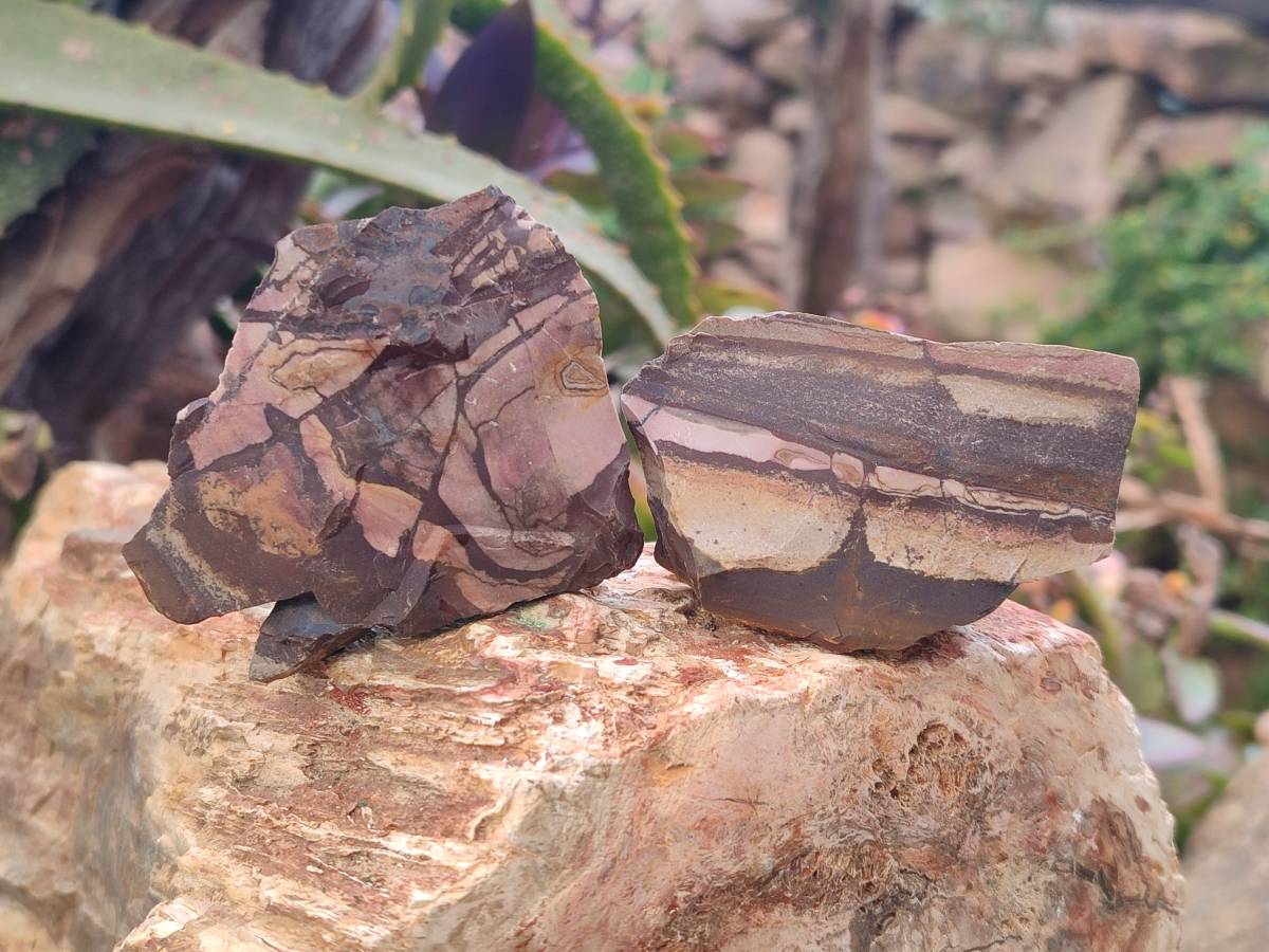 Natural Nguni Jasper Cobbed Specimens x 28 From Prieska, South Africa - Toprock Gemstones and Minerals 