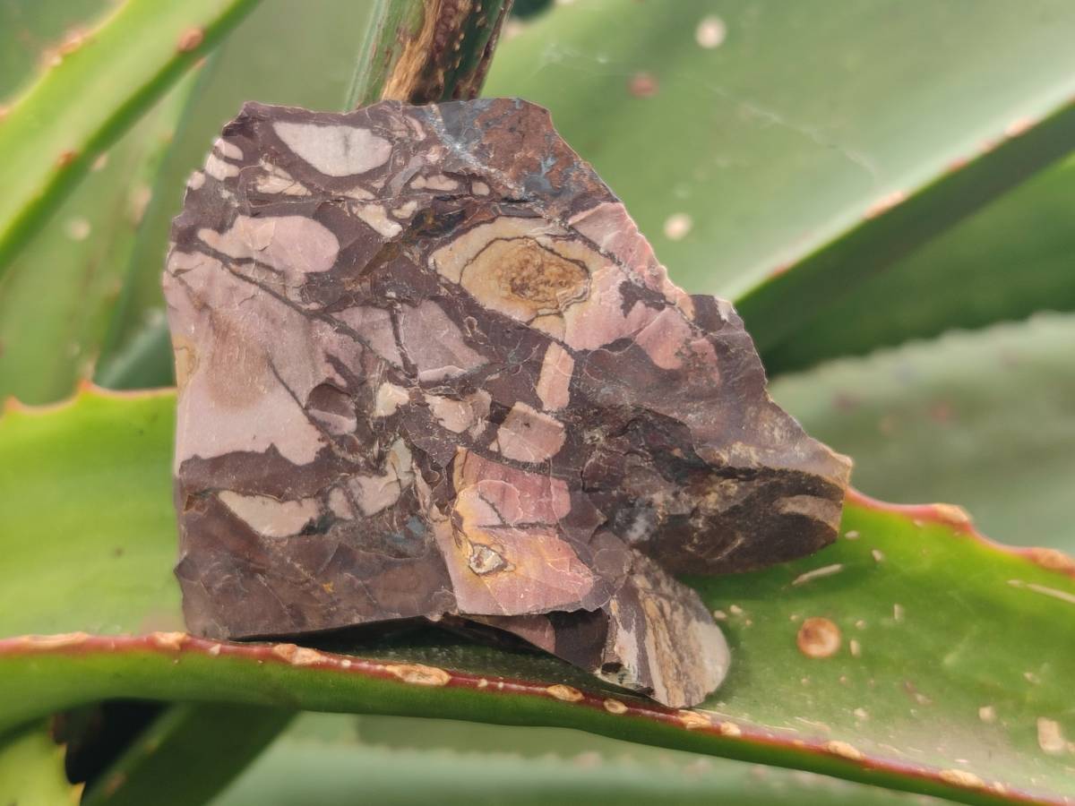 Natural Nguni Jasper Cobbed Specimens x 28 From Prieska, South Africa - Toprock Gemstones and Minerals 