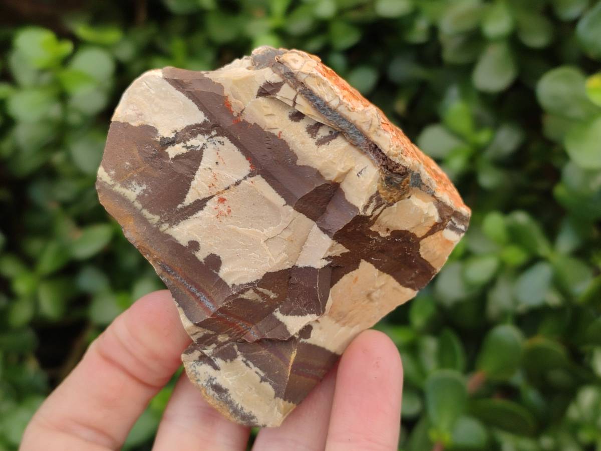 Natural Nguni Jasper Cobbed Specimens x 28 From Prieska, South Africa - Toprock Gemstones and Minerals 