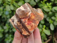 Natural Nguni Jasper Cobbed Specimens x 28 From Prieska, South Africa