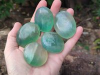 Polished Green Fluorite Palm Stones x 20 From Madagascar