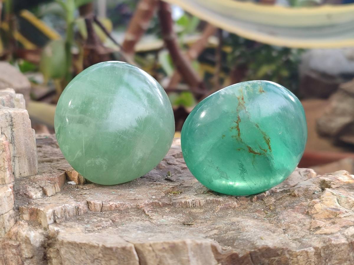Polished Green Fluorite Palm Stones x 20 From Madagascar - Toprock Gemstones and Minerals 