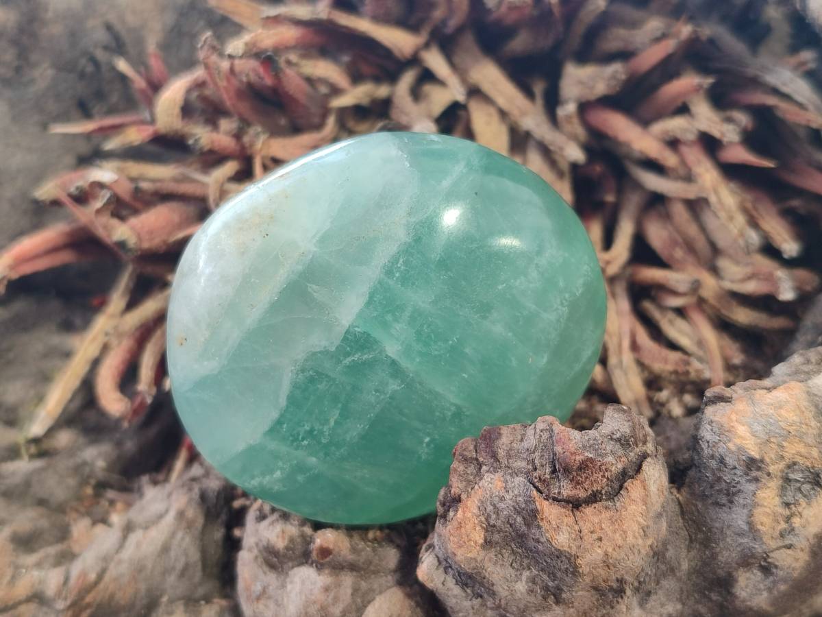 Polished Green Fluorite Palm Stones x 20 From Madagascar - Toprock Gemstones and Minerals 