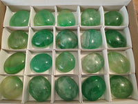 Polished Green Fluorite Palm Stones x 20 From Madagascar