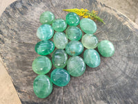 Polished Green Fluorite Palm Stones x 20 From Madagascar