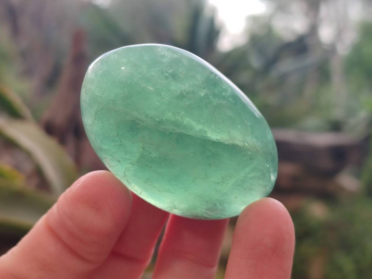 Polished Green Fluorite Palm Stones x 20 From Madagascar - Toprock Gemstones and Minerals 