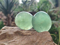 Polished Green Fluorite Palm Stones x 20 From Madagascar