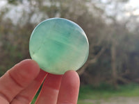 Polished Green Fluorite Palm Stones x 20 From Madagascar