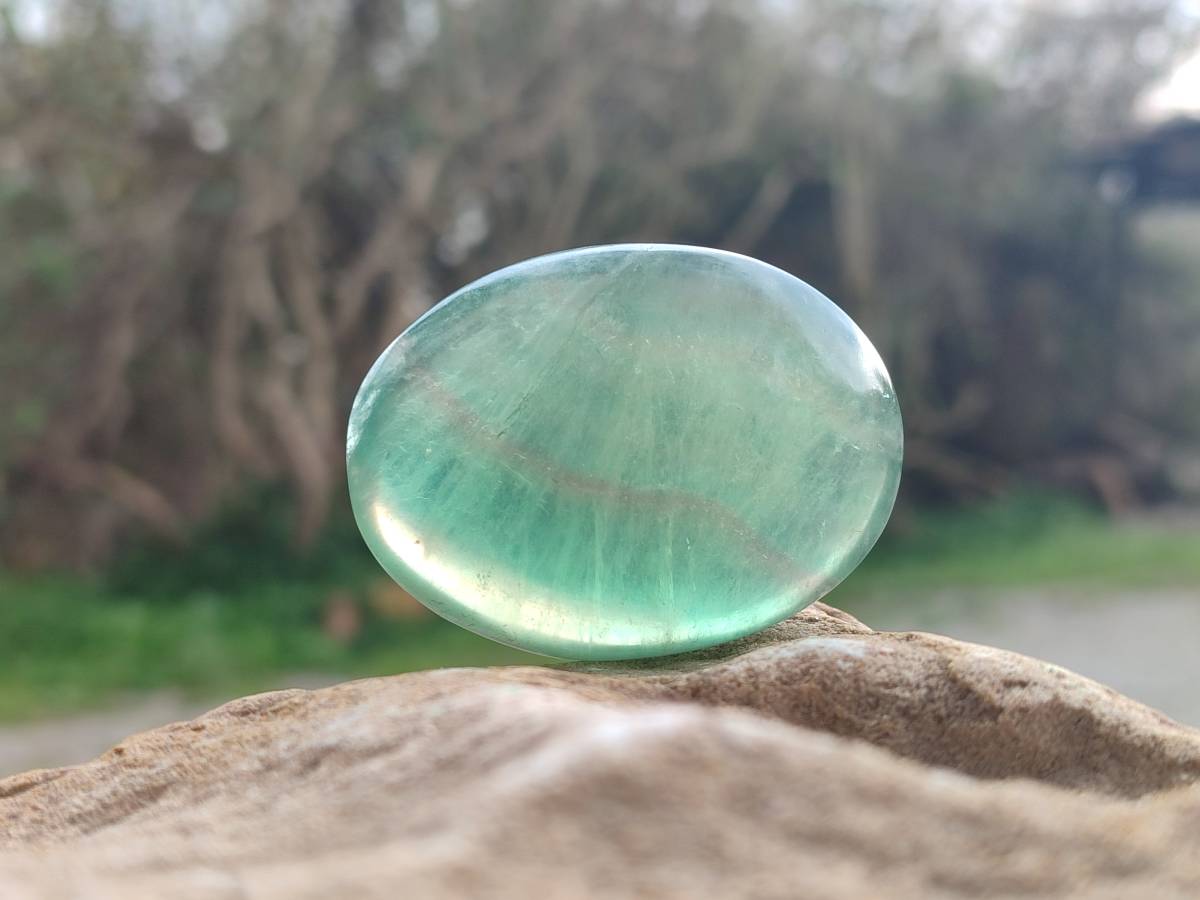 Polished Green Fluorite Palm Stones x 20 From Madagascar - Toprock Gemstones and Minerals 