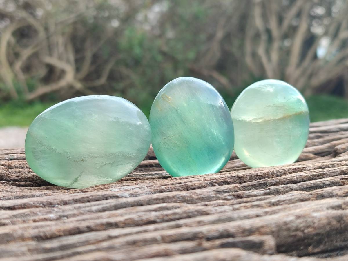 Polished Green Fluorite Palm Stones x 20 From Madagascar - Toprock Gemstones and Minerals 