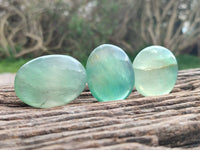 Polished Green Fluorite Palm Stones x 20 From Madagascar