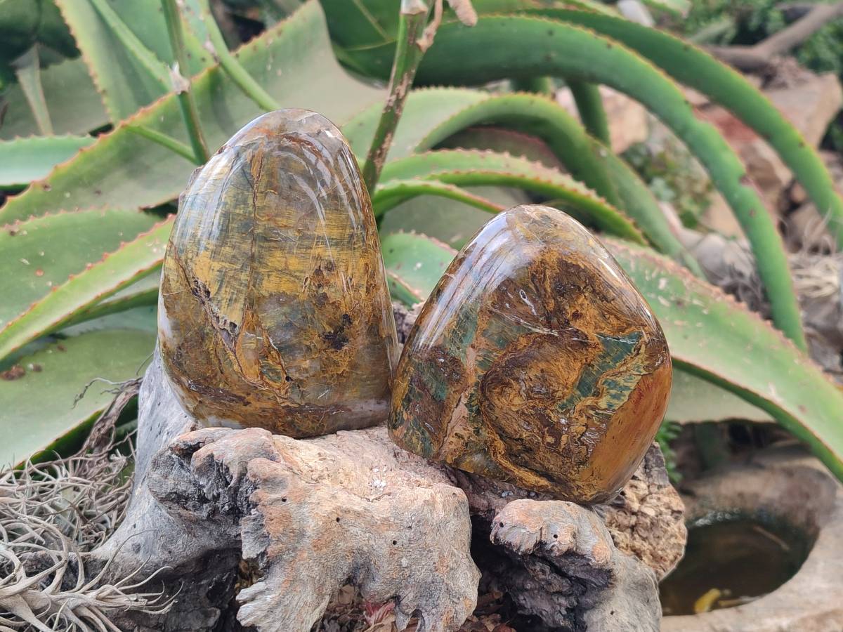 Polished Neolite Standing Free Forms x 3 From Prieska, South Africa - Toprock Gemstones and Minerals 