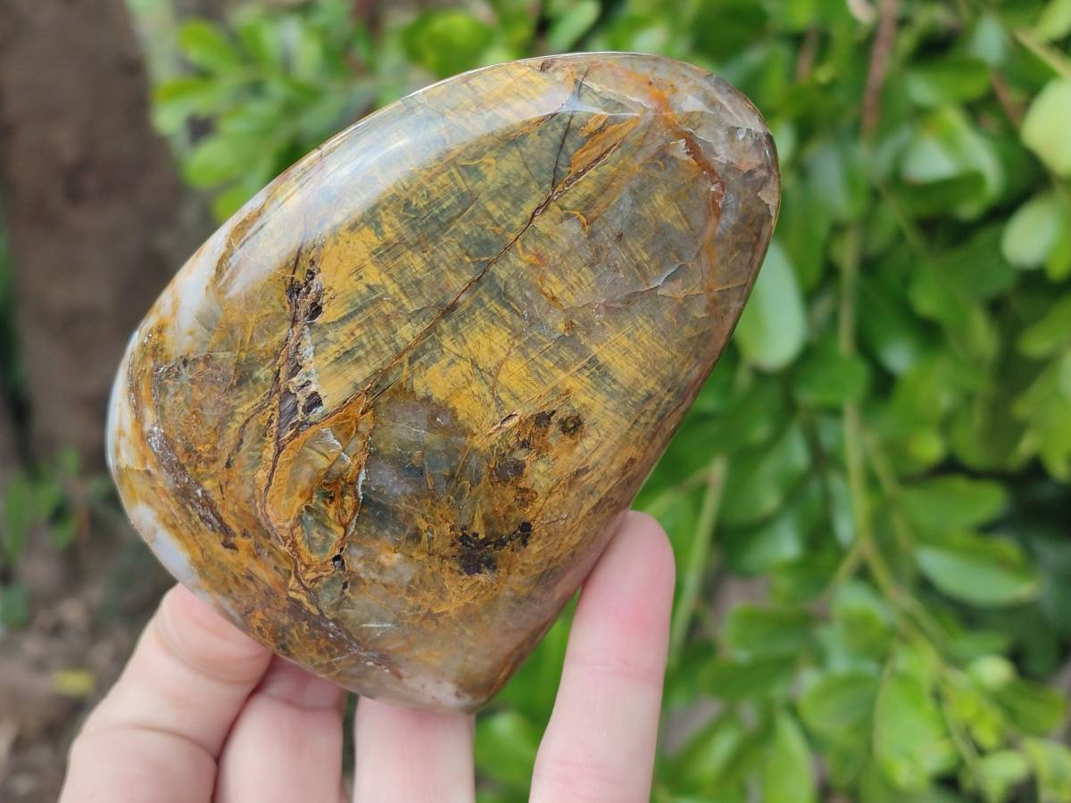 Polished Neolite Standing Free Forms x 3 From Prieska, South Africa - Toprock Gemstones and Minerals 
