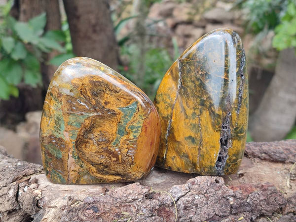 Polished Neolite Standing Free Forms x 3 From Prieska, South Africa