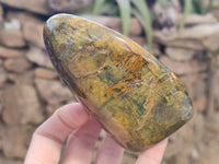Polished Neolite Standing Free Forms x 3 From Prieska, South Africa