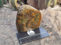 Polished Neolite Standing Free Forms x 3 From Prieska, South Africa