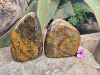 Polished Neolite Standing Free Forms x 3 From Prieska, South Africa