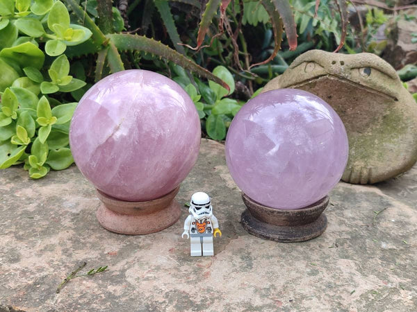 Polished Large Lavender Rose Quartz Spheres with Asterism x 2 From Madagascar