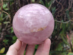 Polished Large Lavender Rose Quartz Spheres with Asterism x 2 From Madagascar - Toprock Gemstones and Minerals 