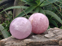 Polished Large Lavender Rose Quartz Spheres with Asterism x 2 From Madagascar
