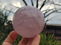 Polished Large Lavender Rose Quartz Spheres with Asterism x 2 From Madagascar