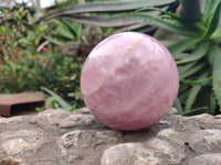 Polished Large Lavender Rose Quartz Spheres with Asterism x 2 From Madagascar