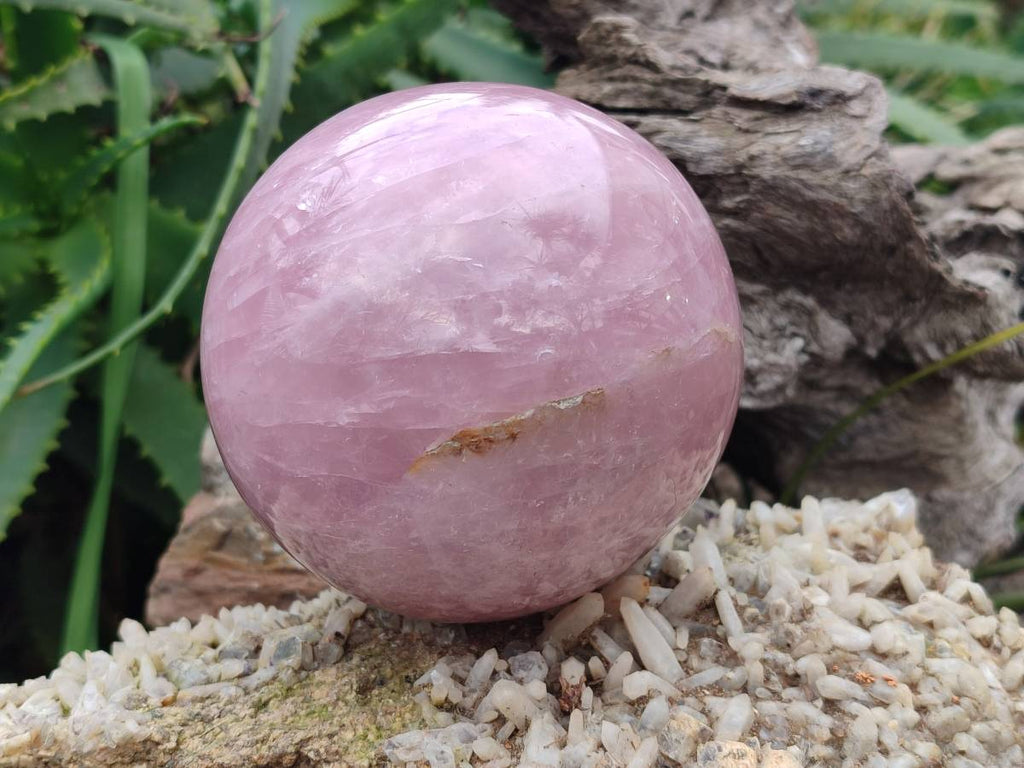 Polished Large Lavender Rose Quartz Spheres with Asterism x 2 From Madagascar - Toprock Gemstones and Minerals 