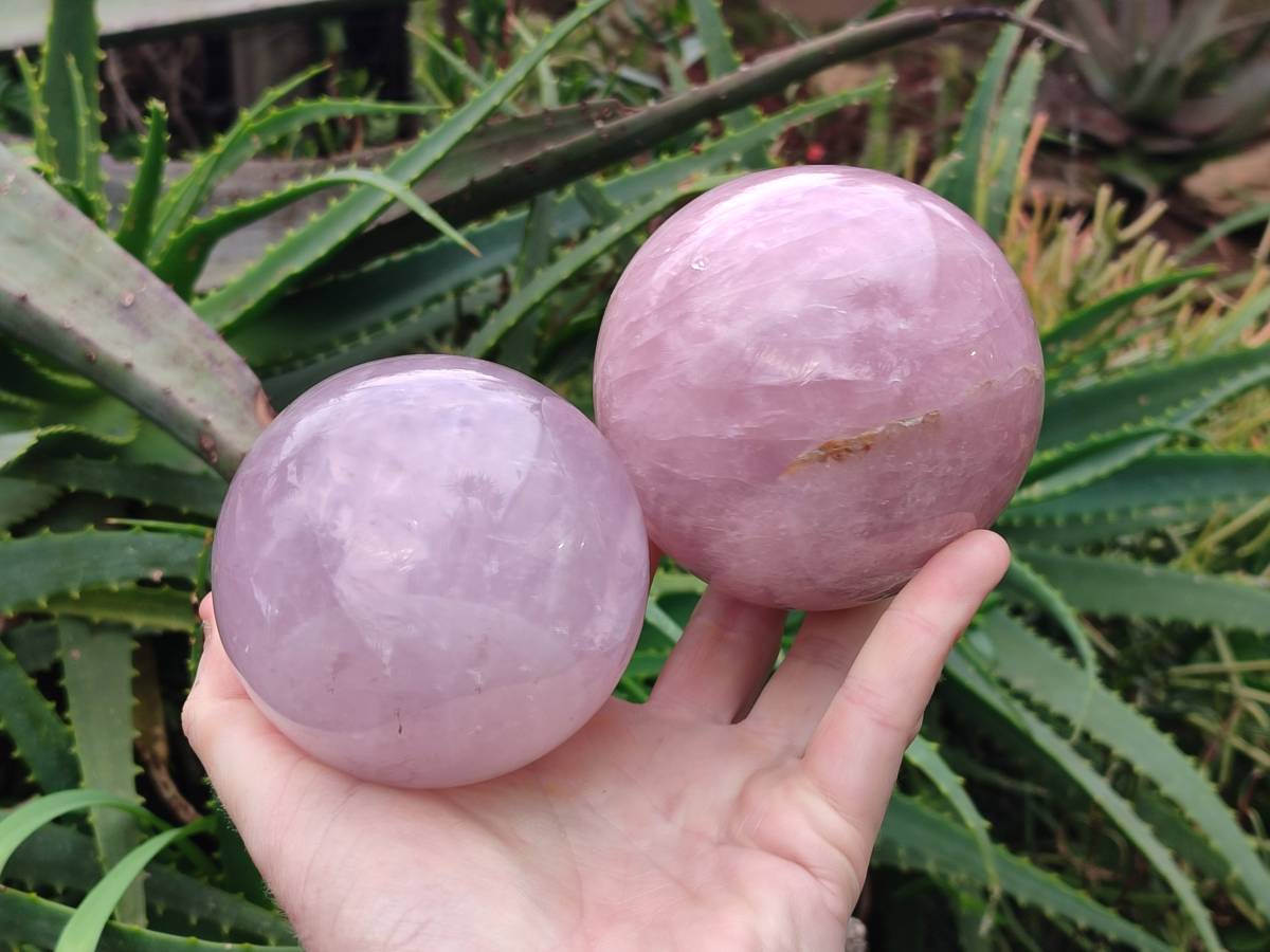 Polished Large Lavender Rose Quartz Spheres with Asterism x 2 From Madagascar - Toprock Gemstones and Minerals 