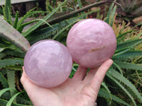 Polished Large Lavender Rose Quartz Spheres with Asterism x 2 From Madagascar