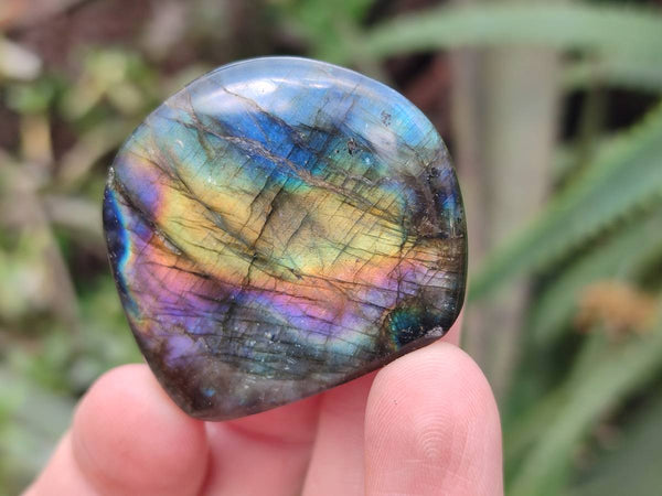 Polished Mini Labradorite Standing Free Forms x 20 From Tulear, Madagascar