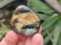 Polished Mini Labradorite Standing Free Forms x 20 From Tulear, Madagascar
