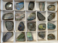 Polished Mini Labradorite Standing Free Forms x 20 From Tulear, Madagascar