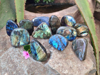 Polished Mini Labradorite Standing Free Forms x 20 From Tulear, Madagascar