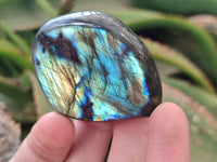 Polished Mini Labradorite Standing Free Forms x 20 From Tulear, Madagascar