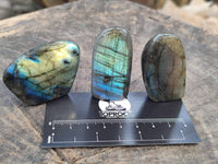 Polished Mini Labradorite Standing Free Forms x 20 From Tulear, Madagascar