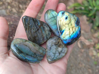 Polished Mini Labradorite Standing Free Forms x 20 From Tulear, Madagascar