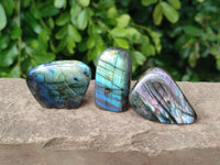 Polished Mini Labradorite Standing Free Forms x 20 From Tulear, Madagascar