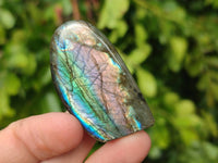 Polished Mini Labradorite Standing Free Forms x 20 From Tulear, Madagascar
