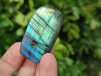 Polished Mini Labradorite Standing Free Forms x 20 From Tulear, Madagascar