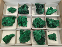 Natural Silky Malachite Specimens x 12 From Kasompe, Congo