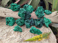 Natural Silky Malachite Specimens x 12 From Kasompe, Congo