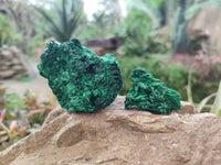 Natural Silky Malachite Specimens x 12 From Kasompe, Congo