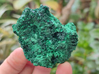 Natural Silky Malachite Specimens x 12 From Kasompe, Congo